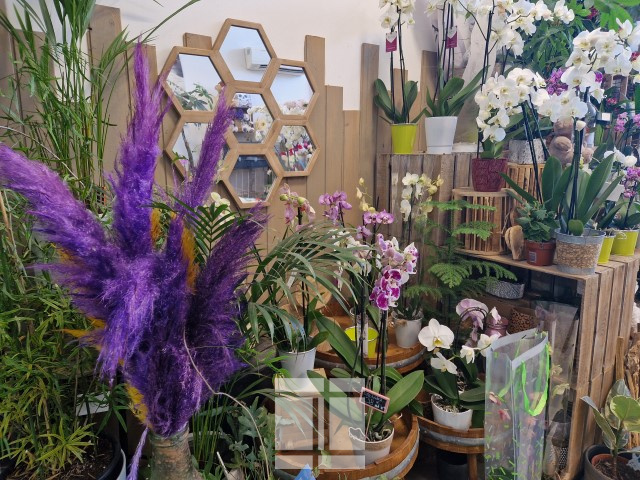 AJACCIO - FOND DE COMMERCE - FLEURISTE