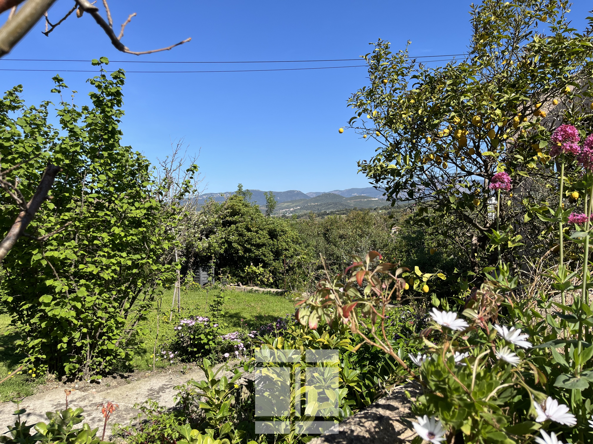 PORTICCIO - PROPRIÉTÉ DE CHARMES DE 515 m2 AVEC PISCINE ET VUE MER