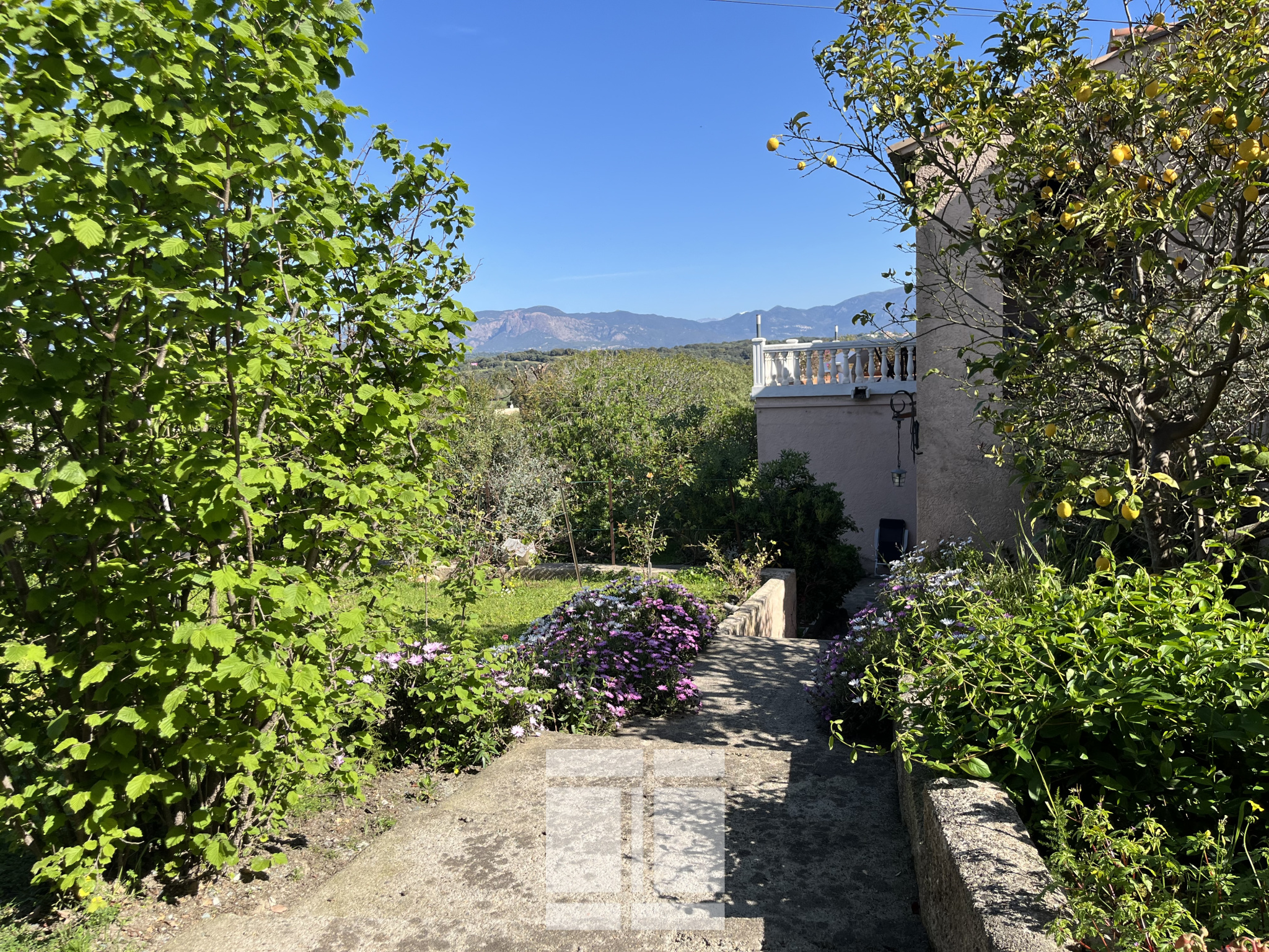 PORTICCIO - PROPRIÉTÉ DE CHARMES DE 515 m2 AVEC PISCINE ET VUE MER