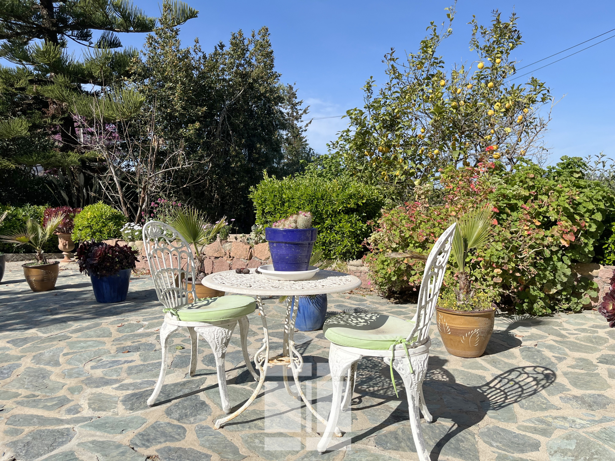 PORTICCIO - PROPRIÉTÉ DE CHARMES DE 515 m2 AVEC PISCINE ET VUE MER