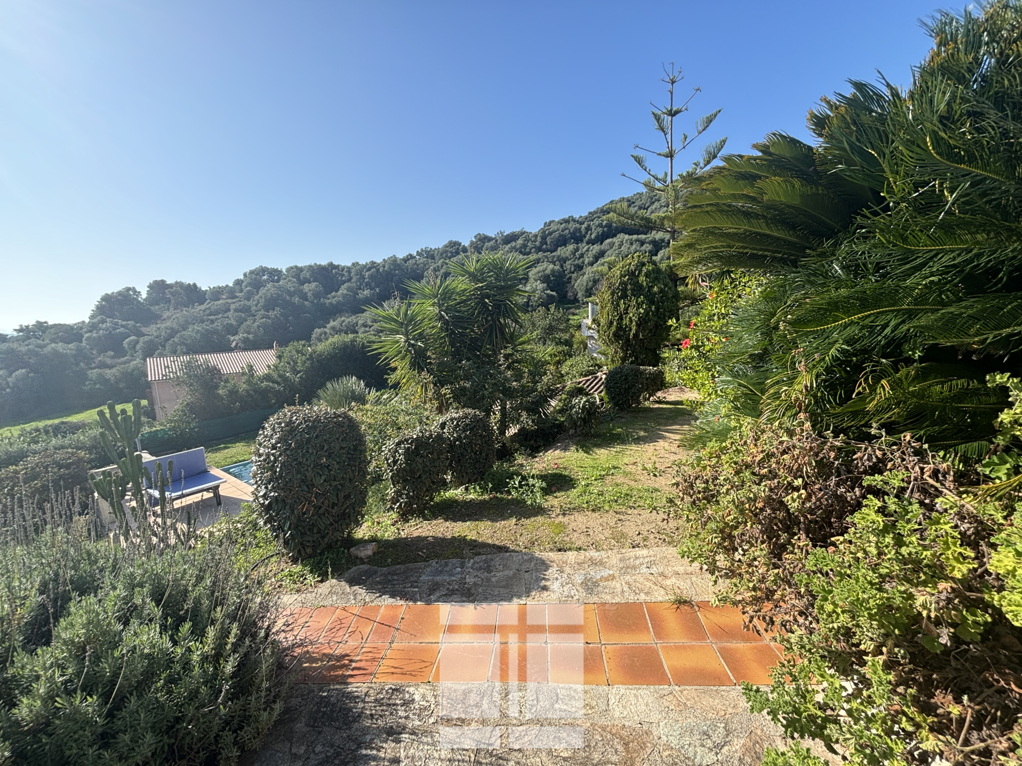 Superbe villa de 291m2 avec 2500m2 de terrain à proximité immédiate d'Ajaccio et de la Rive SUD