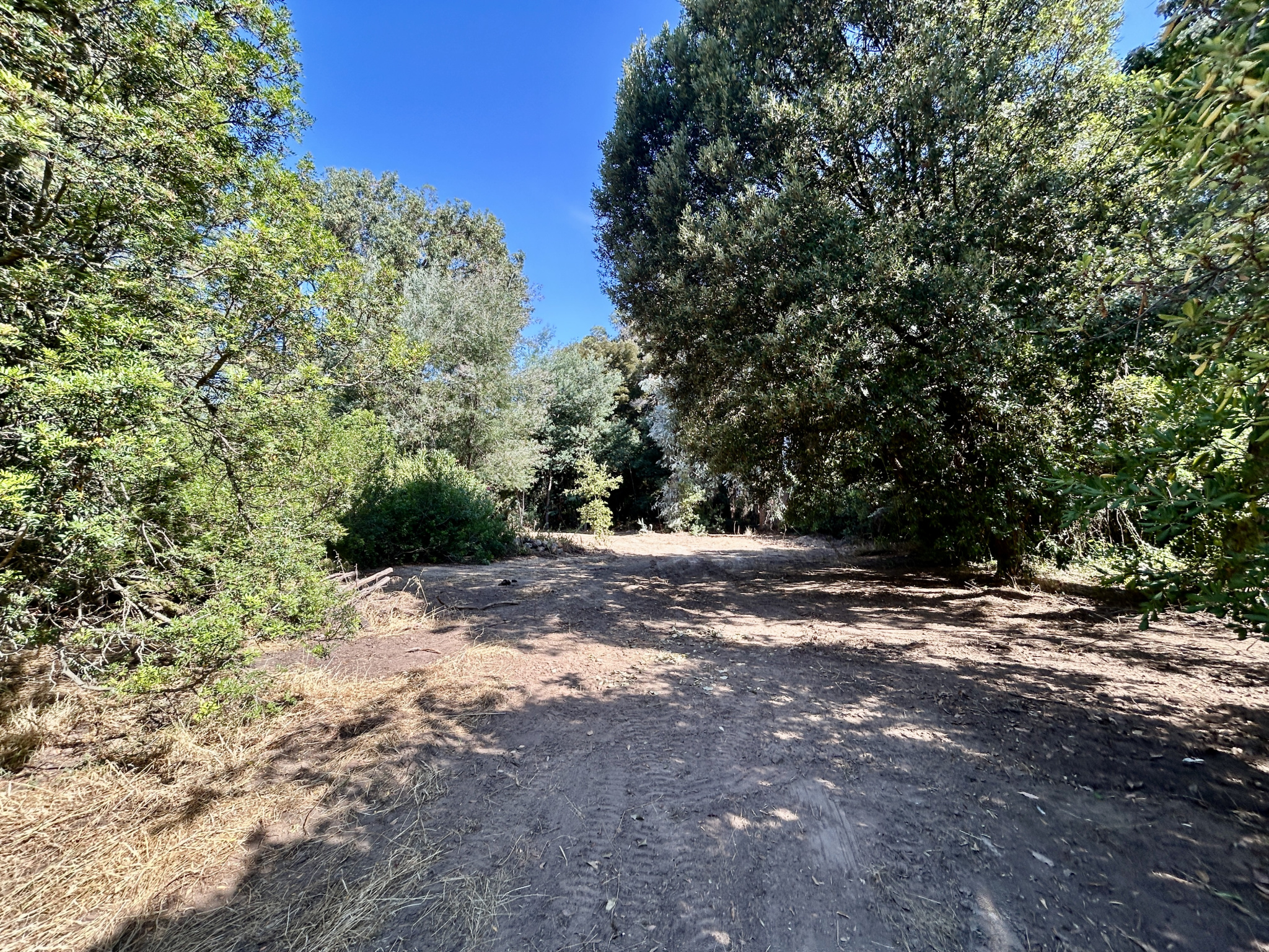 A VENDRE - MAISON A FORT POTENTIEL A DEUX PAS DE CALVI