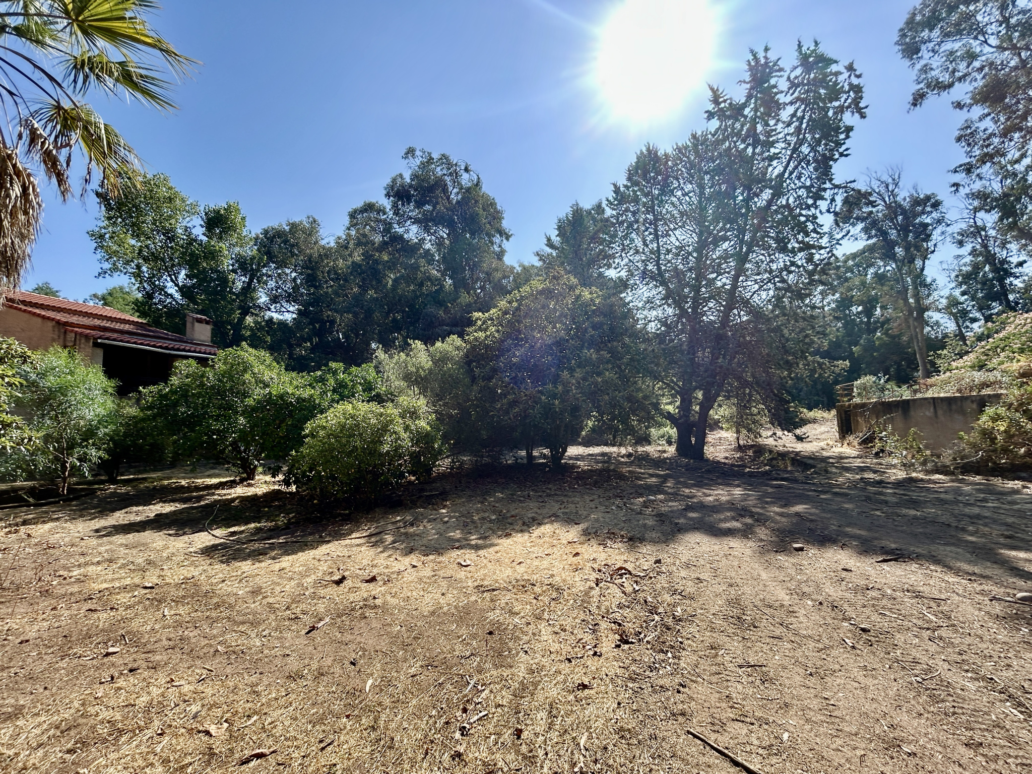A VENDRE - MAISON A FORT POTENTIEL A DEUX PAS DE CALVI