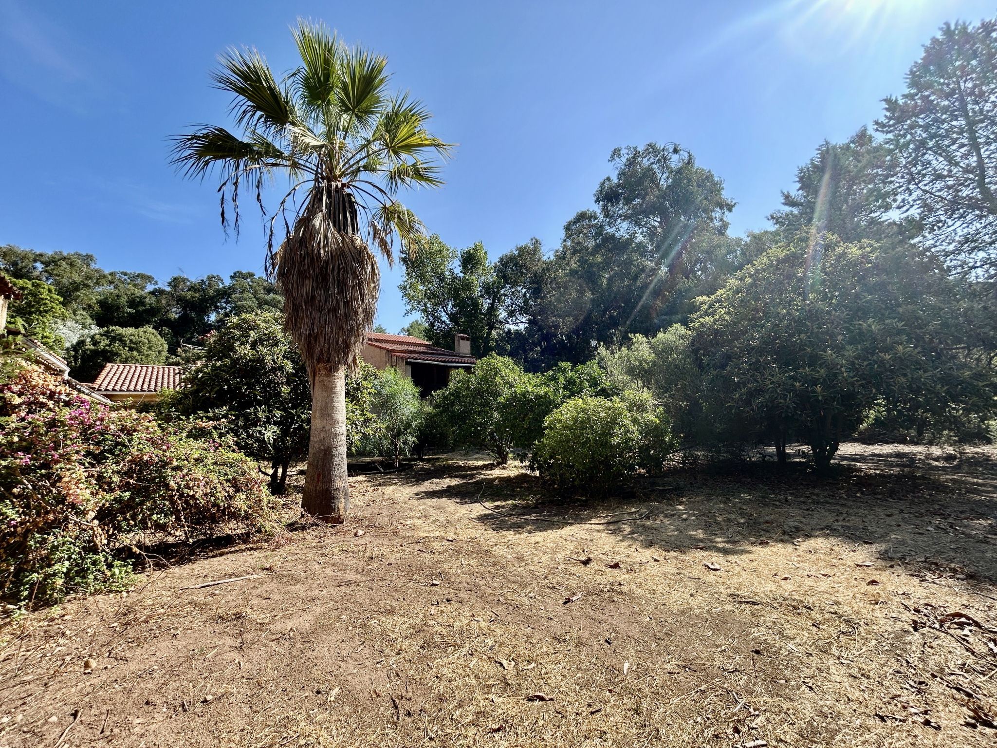 A VENDRE - MAISON A FORT POTENTIEL A DEUX PAS DE CALVI