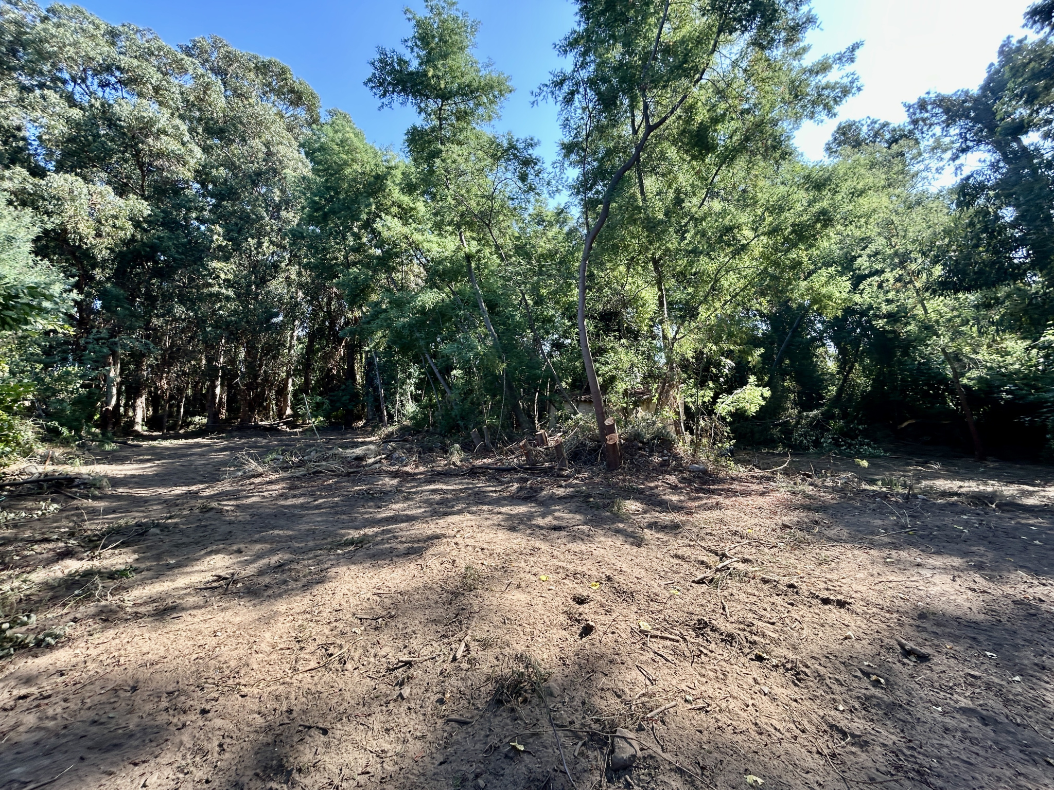 A VENDRE - MAISON A FORT POTENTIEL A DEUX PAS DE CALVI