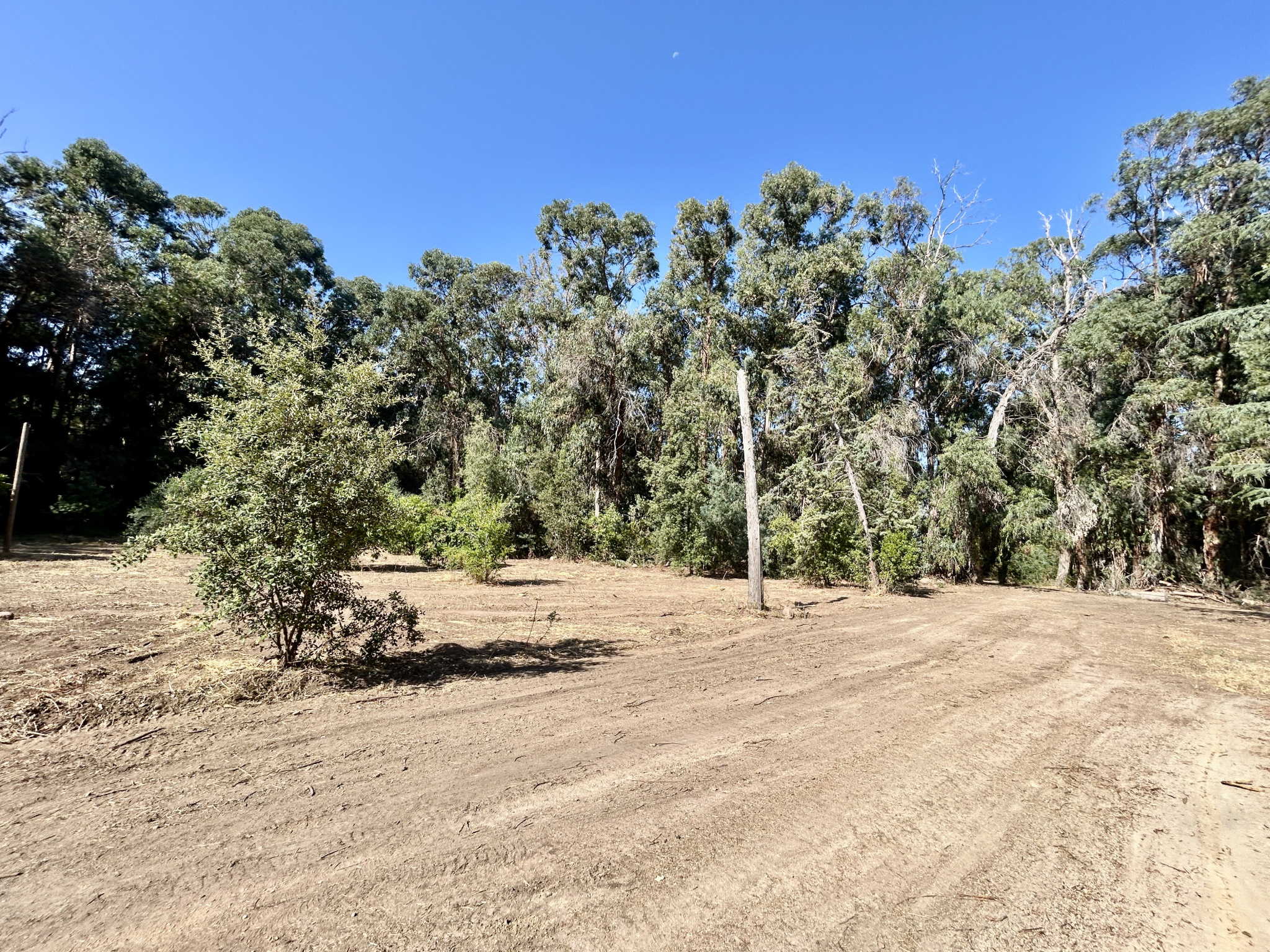 A VENDRE - MAISON A FORT POTENTIEL A DEUX PAS DE CALVI