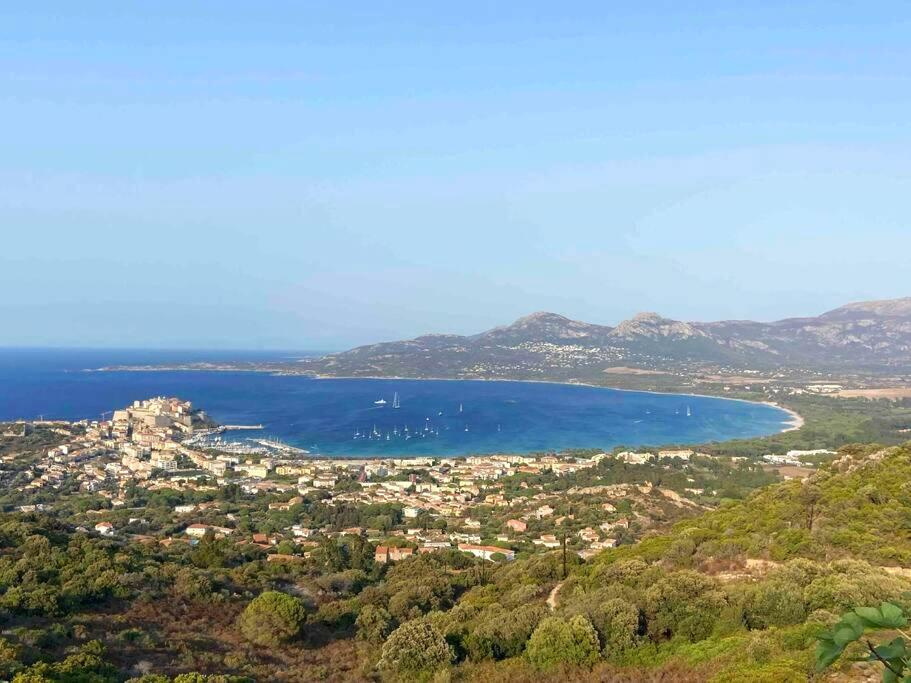 A VENDRE -T3 VUE MER ET CITADELLE - 62m2 - AVEC GRANDE TERRASSE ET PISCINE - CALVI