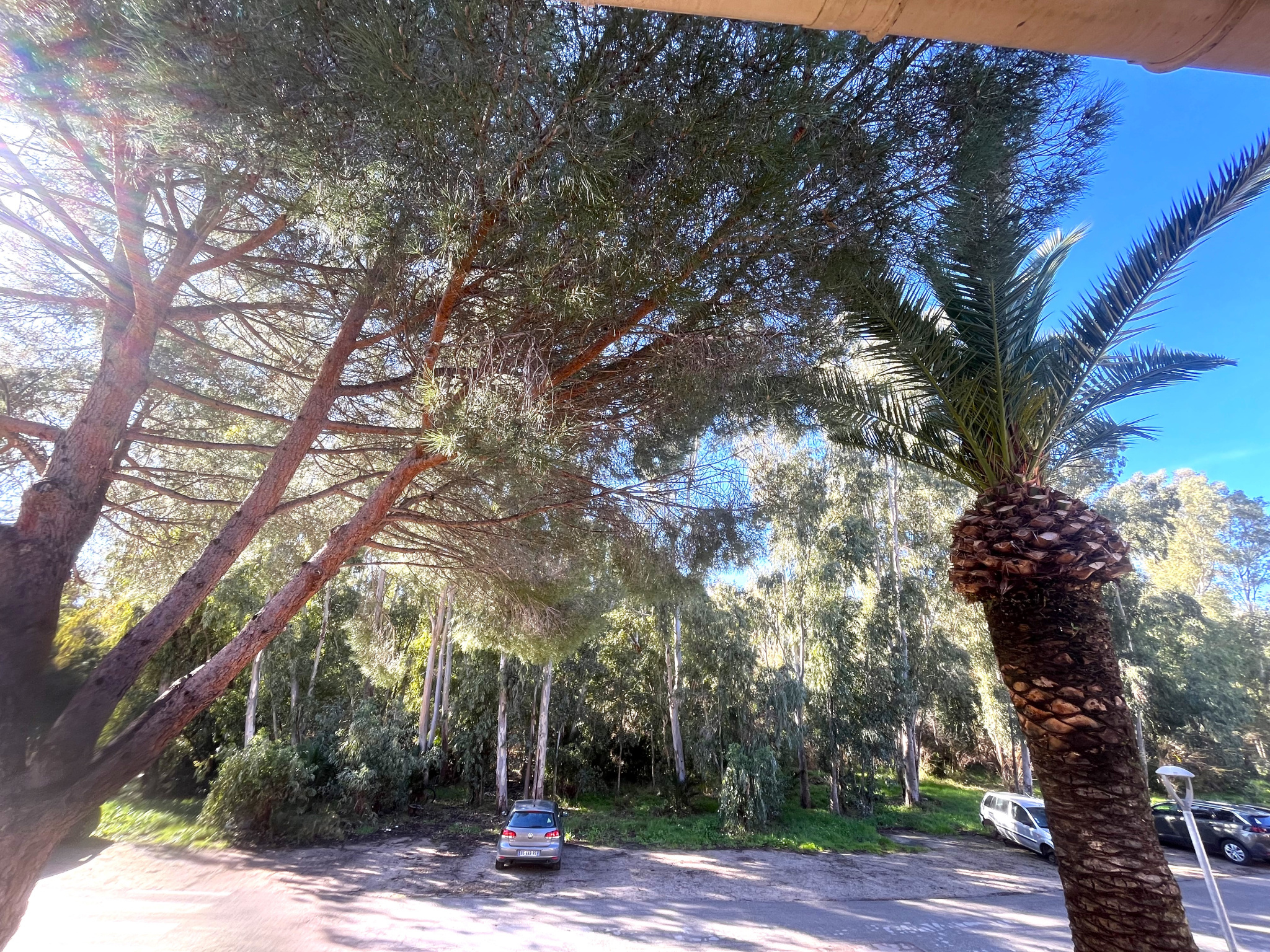 A VENDRE - APPARTEMENT CALVI - 26M2 - PROCHE MER