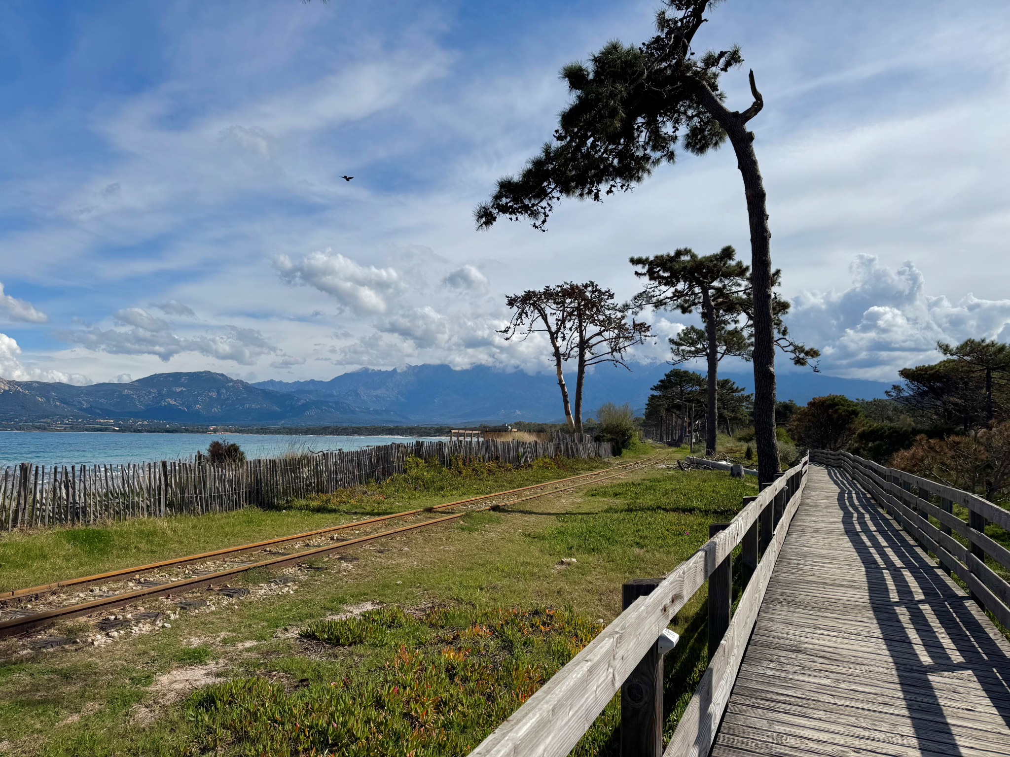 A VENDRE - T3 - 300M DE LA PLAGE - 65m2 AVEC TERRASSE - CALVI