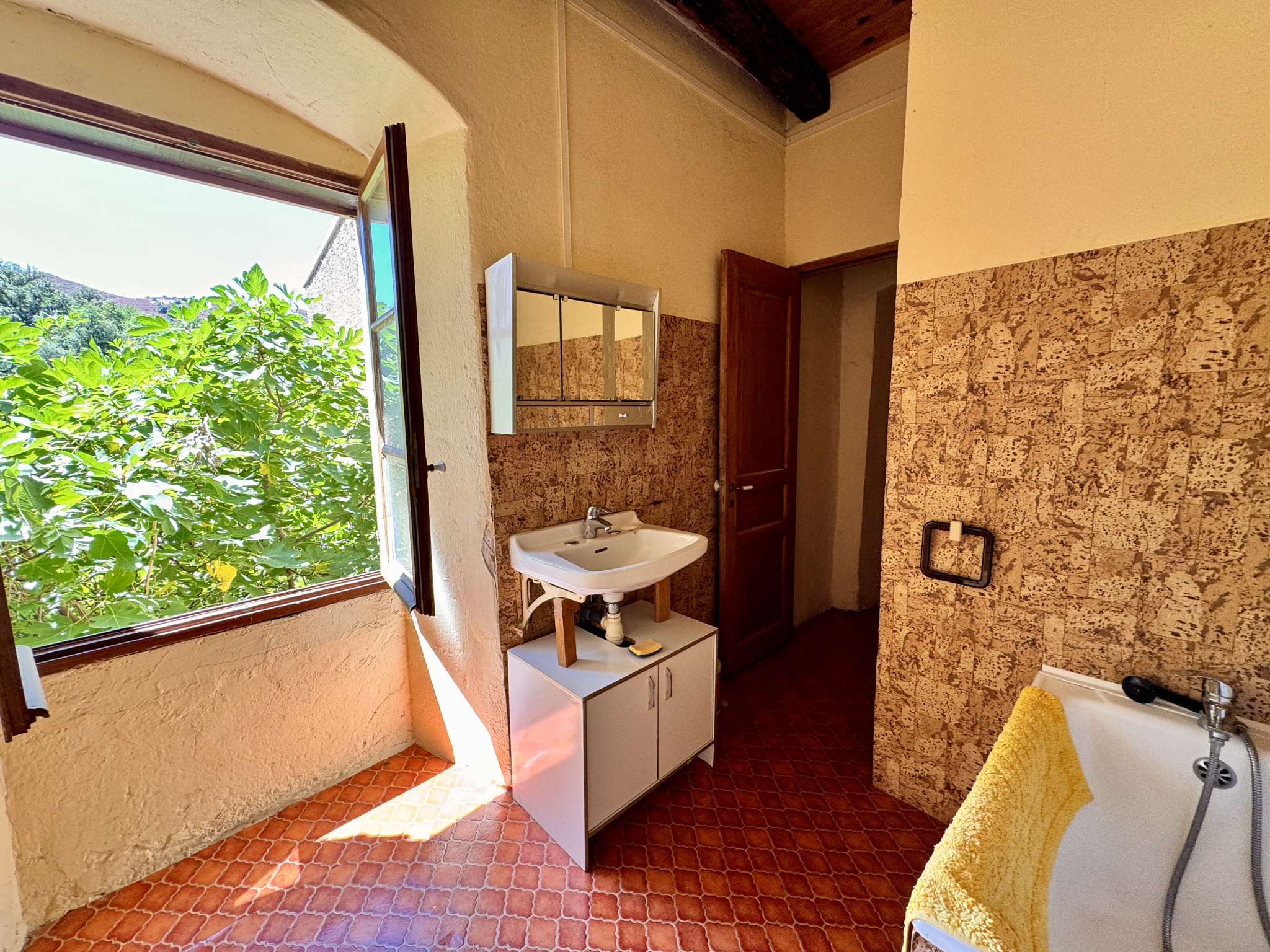 A VENDRE - MAISON DE VILLAGE - FELICETO