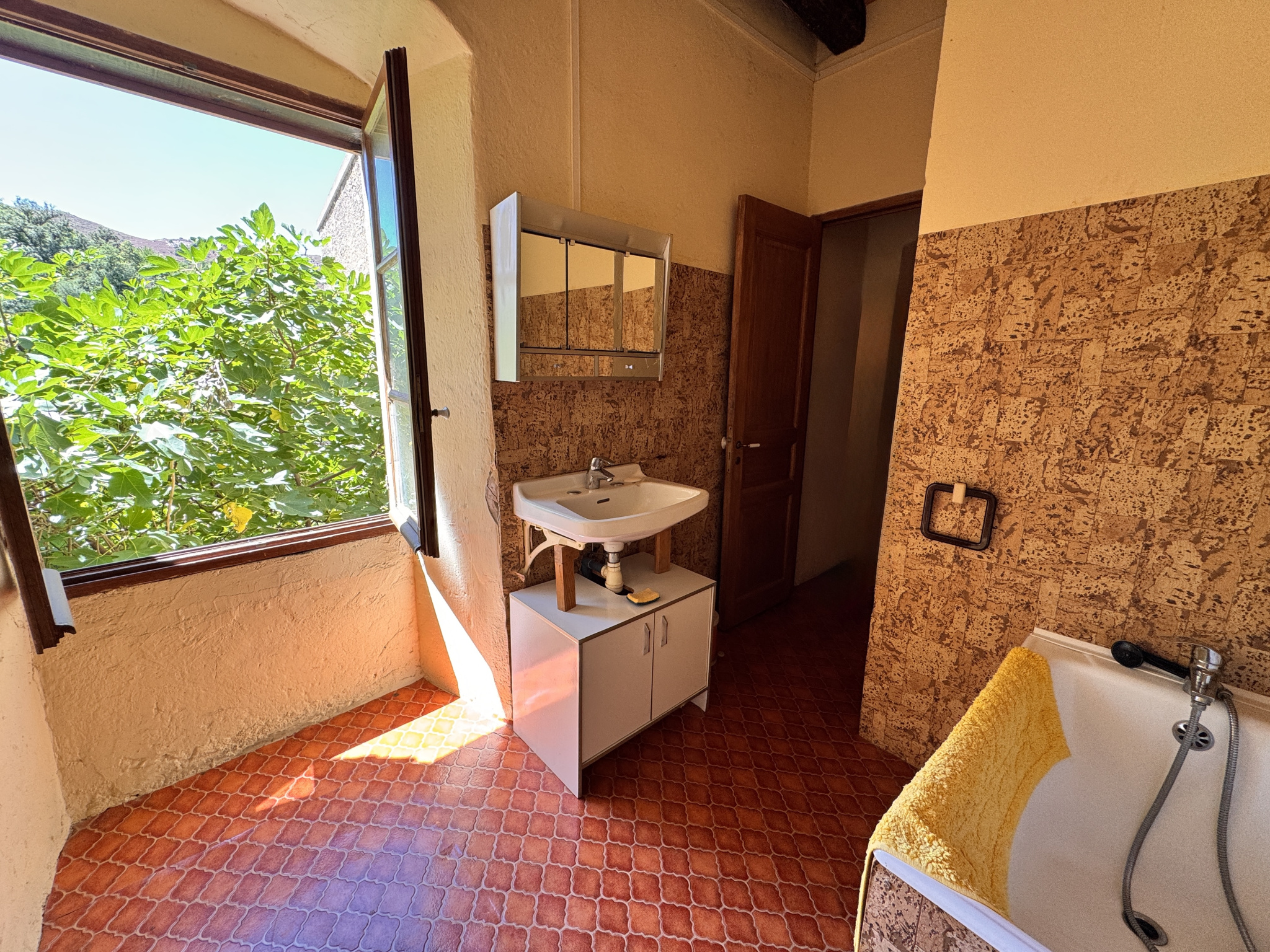 A VENDRE - MAISON DE VILLAGE - FELICETO