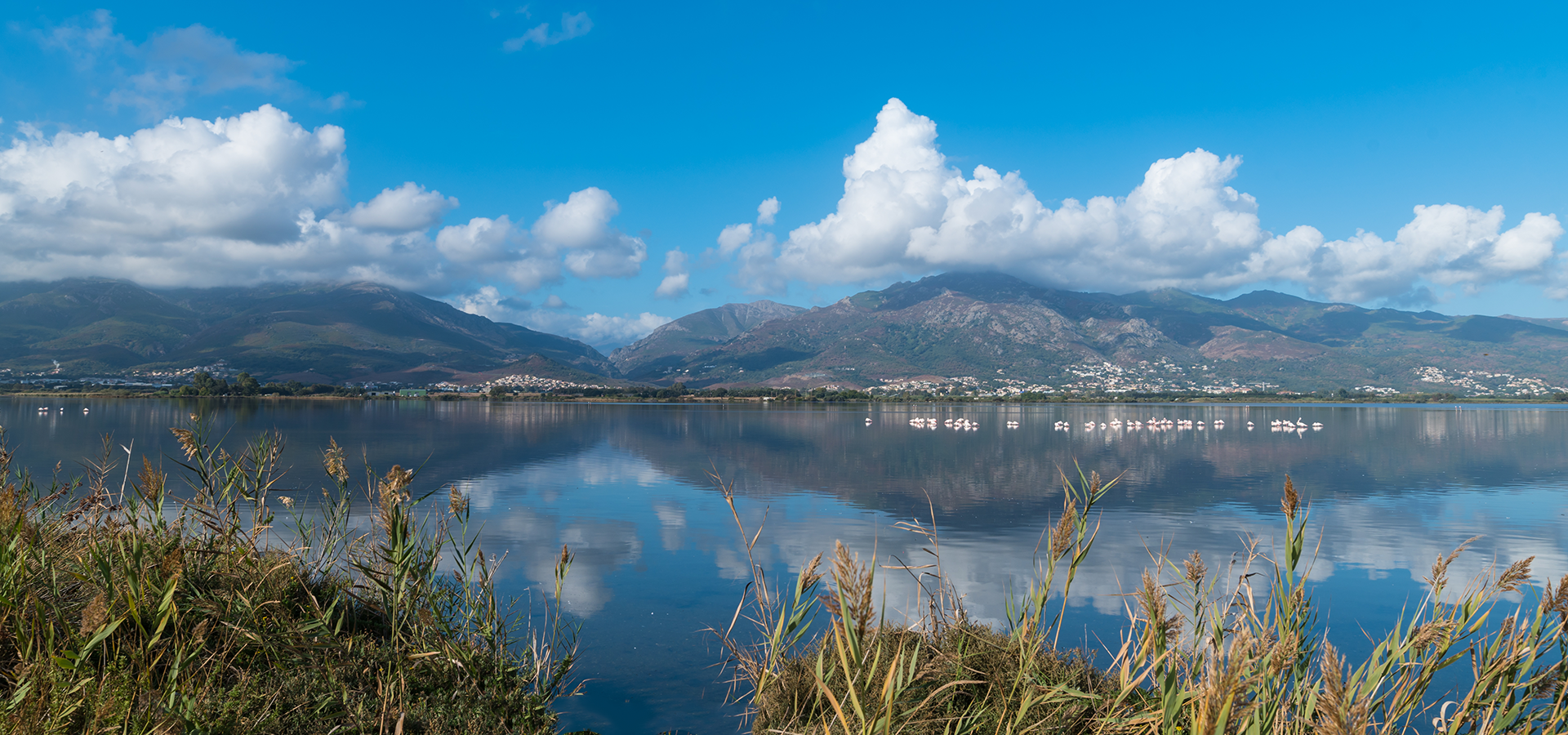 BORGO - Mini villa T2 avec jardin avec mer et commerces à pieds