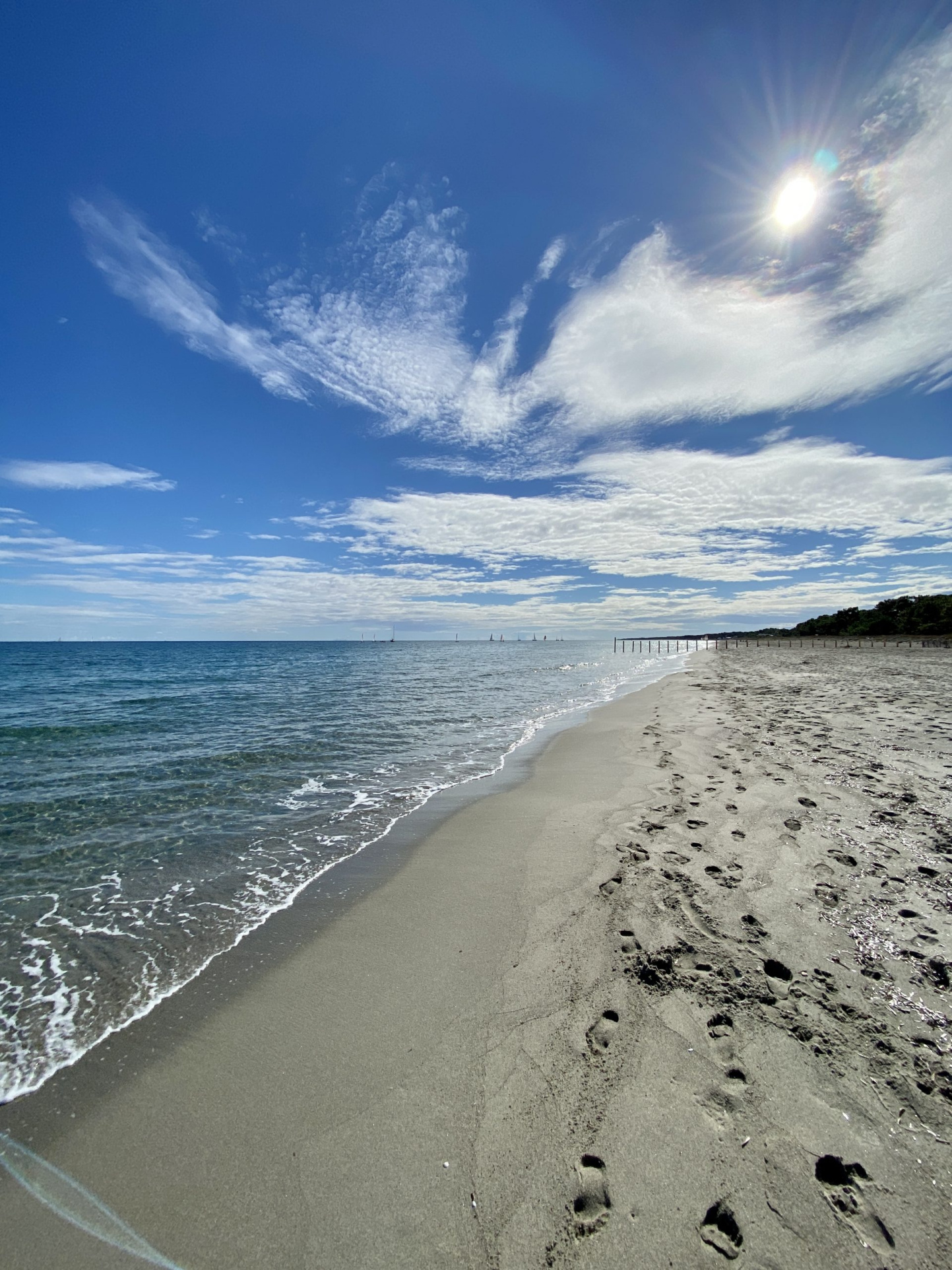 BORGO - Mini villa T2 avec jardin avec mer et commerces à pieds