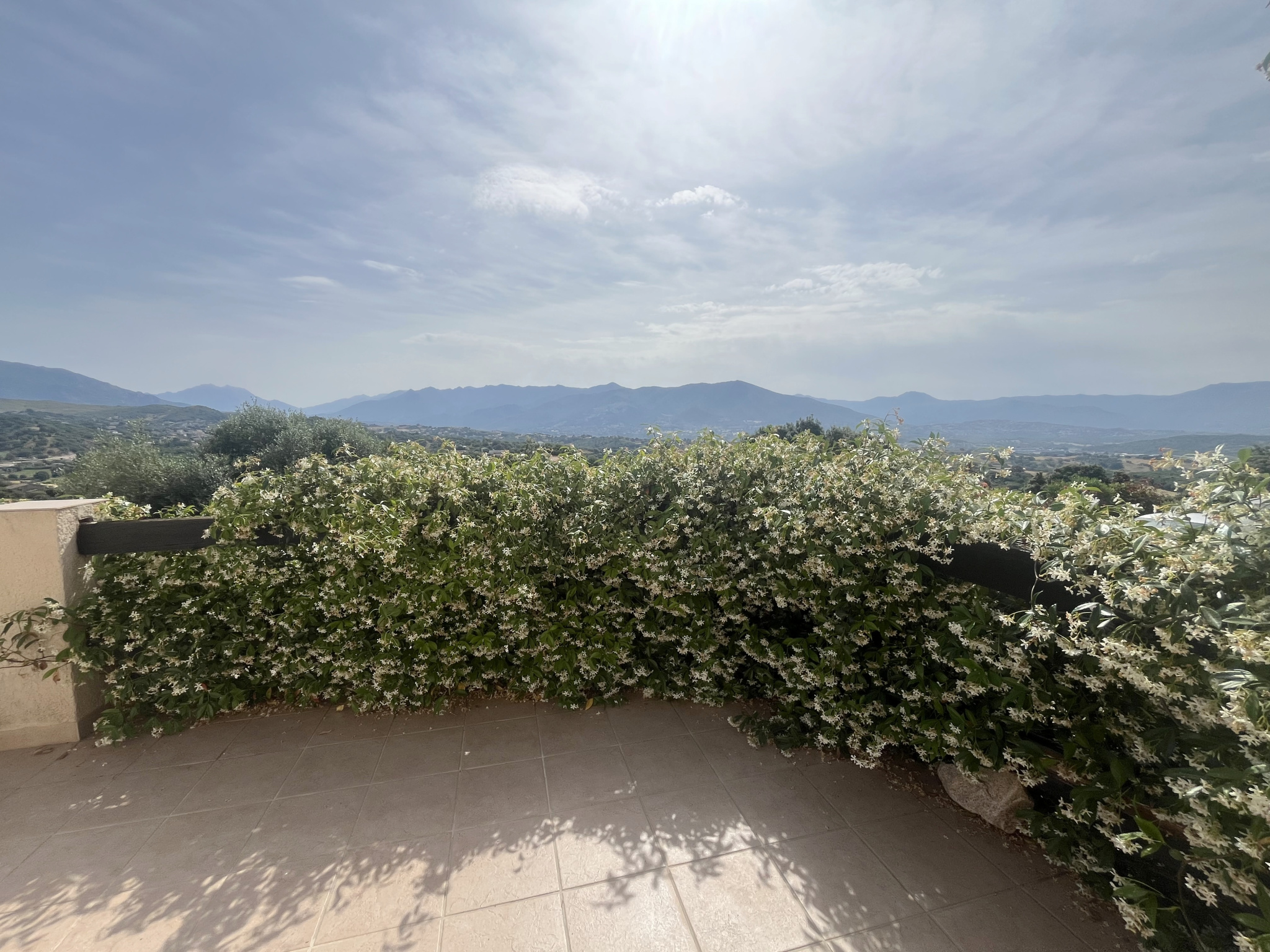 SECTEUR RECHERCHÉ   TROVA MAISON DE 135 M2 T4/5 À 15 MIN D’AJACCIO