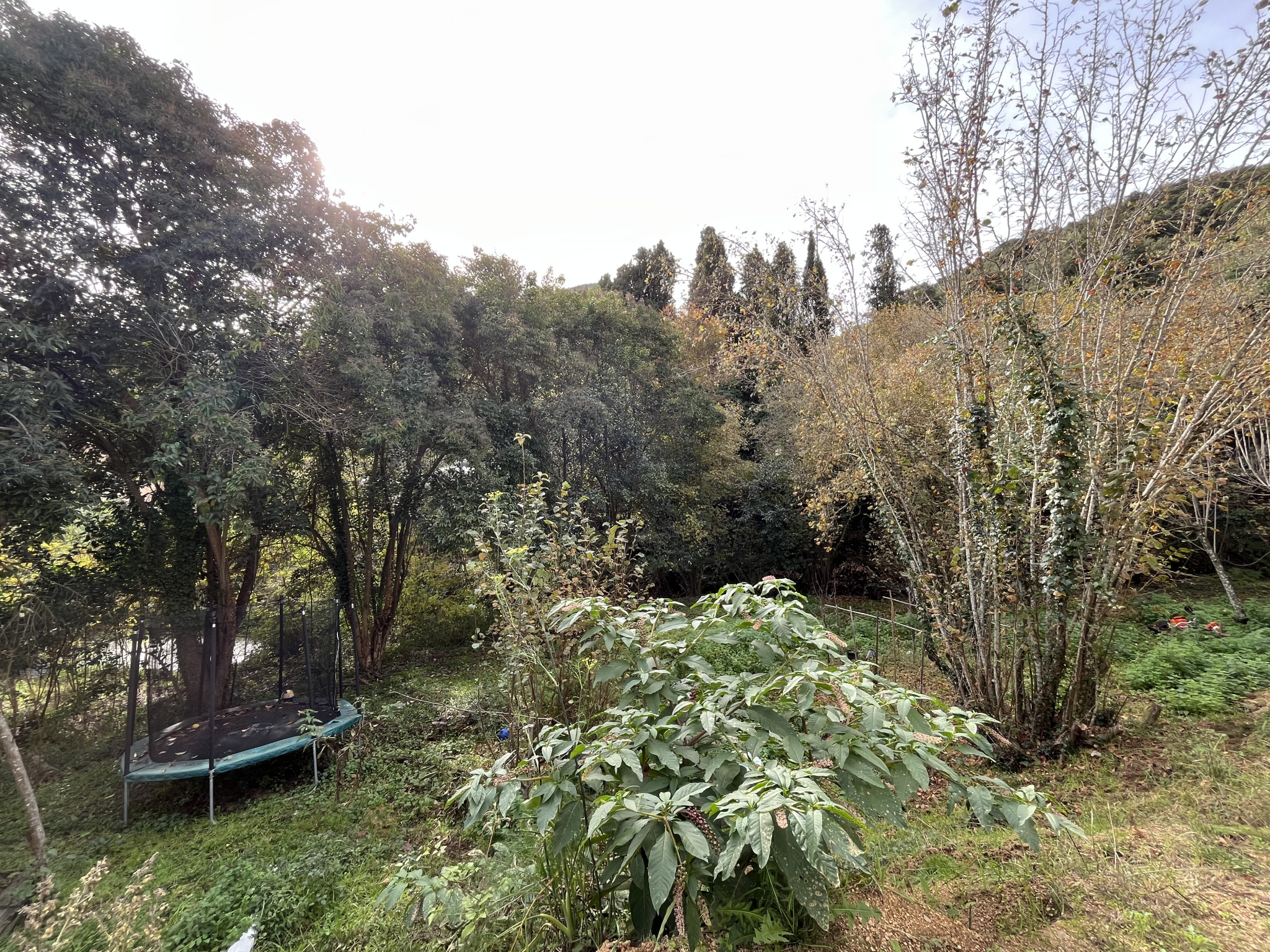 VICO - MAISON INDIVIDUELLE MODERNE DE 148 m2 AU COEUR DU VILLAGE