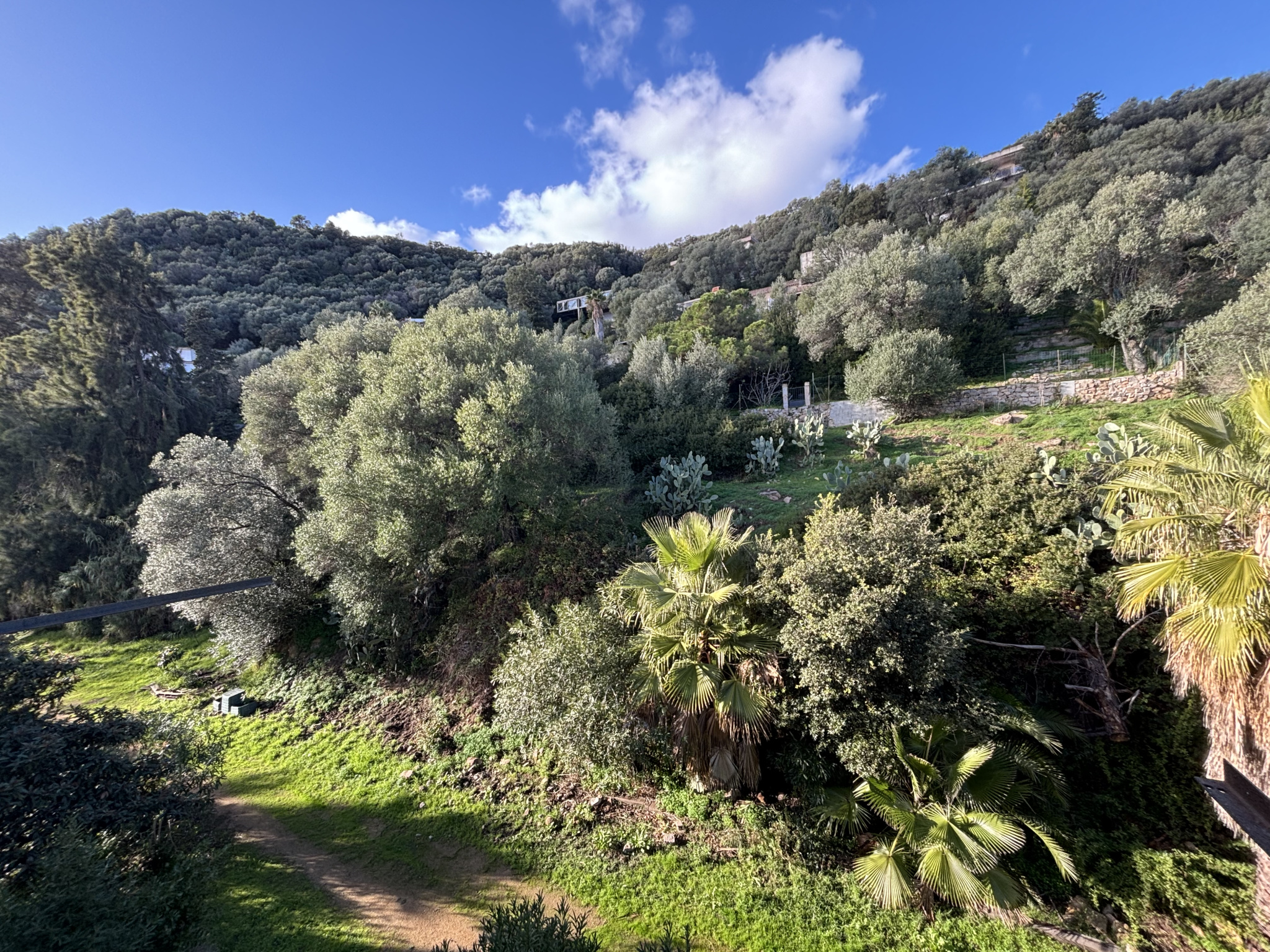 Secteur Bois des Anglais Vaste 3 pièces de 82 m2 avec terrasse et vue dégagée mer & ville