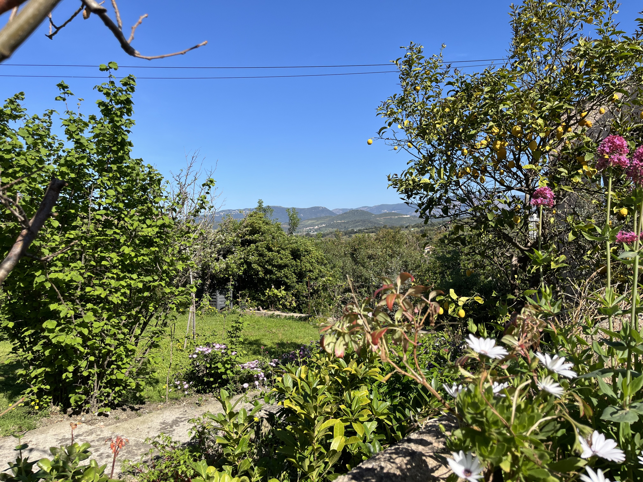 PORTICCIO - VILLA DE CHARMES DE 515 m2 AVEC PISCINE ET VUE MER