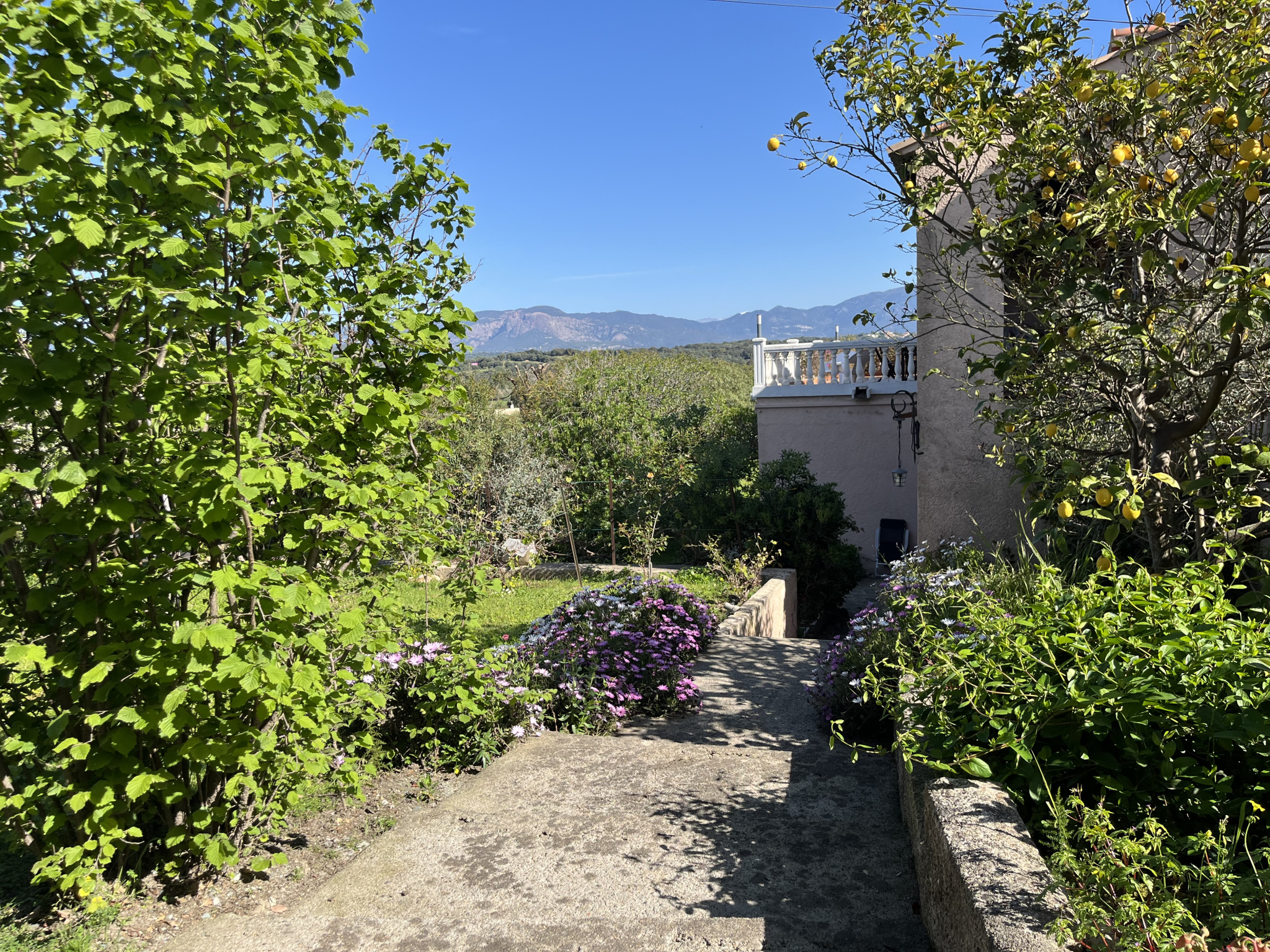 PORTICCIO - VILLA DE CHARMES DE 515 m2 AVEC PISCINE ET VUE MER