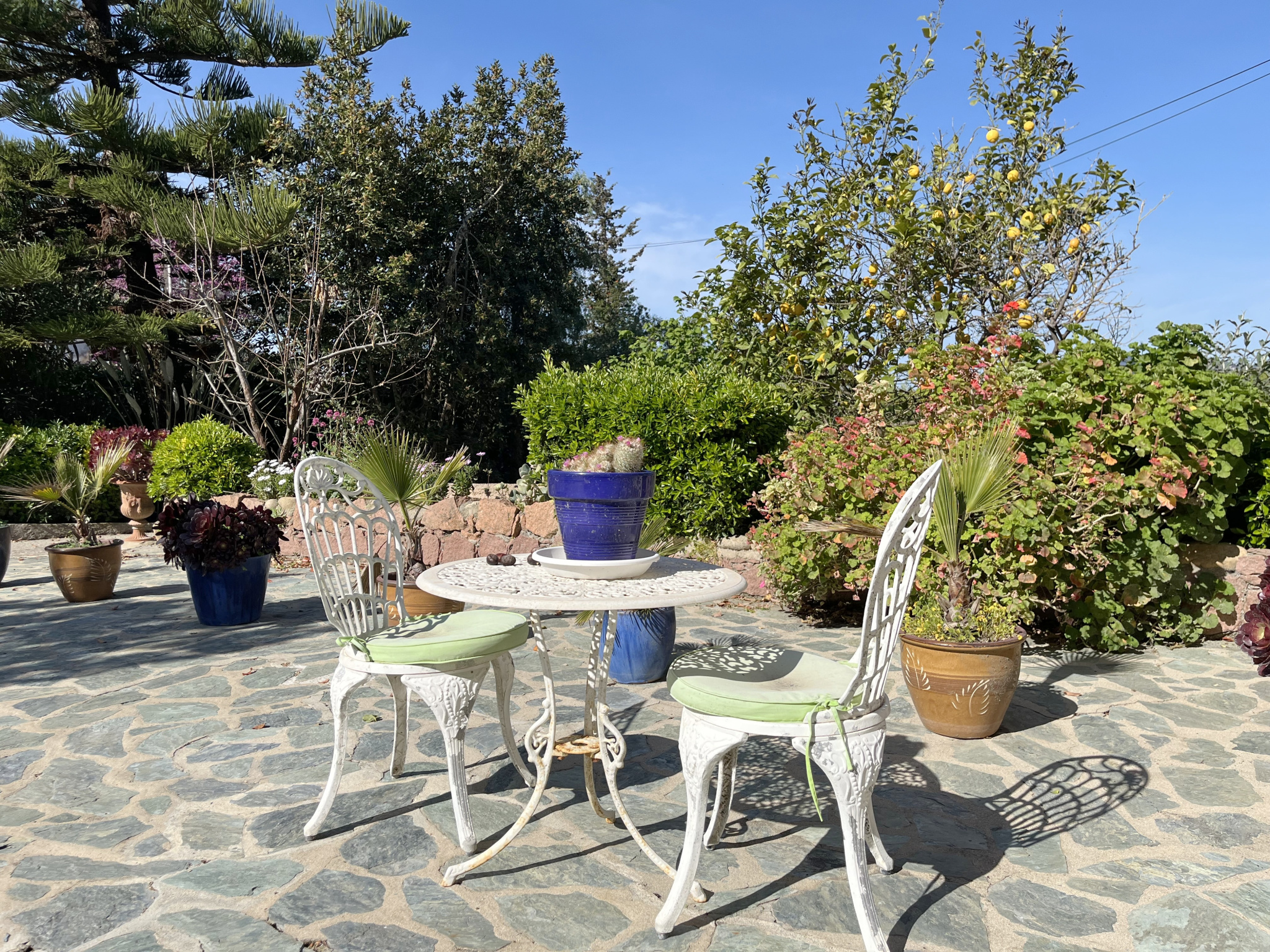 PORTICCIO - VILLA DE CHARMES DE 515 m2 AVEC PISCINE ET VUE MER