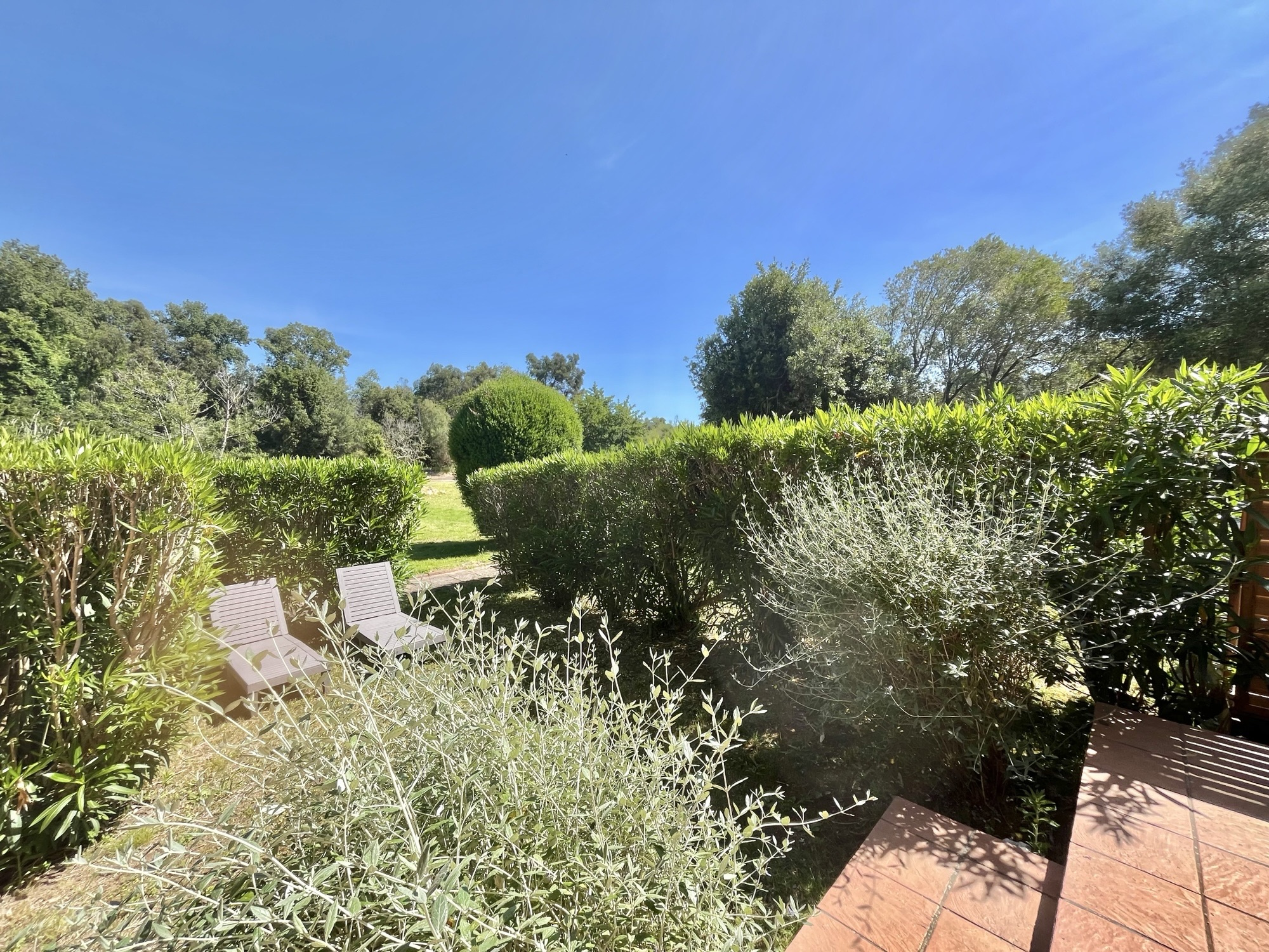 T1 BIS AVEC TERRASSE ET JARDIN   ENTRE PINARELLO ET LA TOUR DE FAUTEA